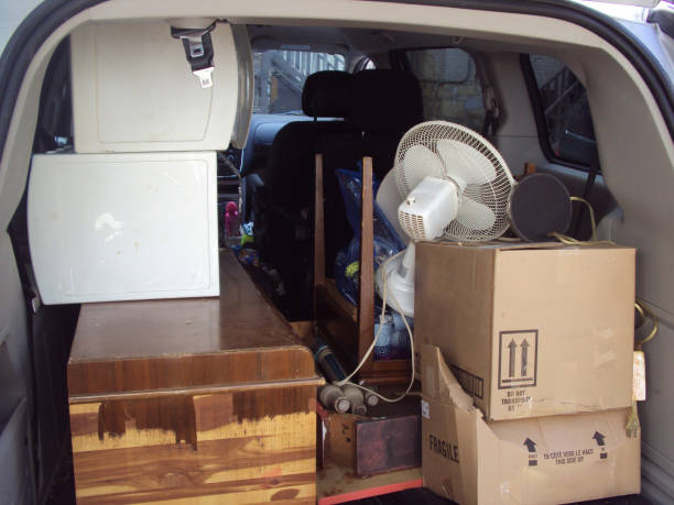 Best Yard Waste Removal  in Newaygo, MI